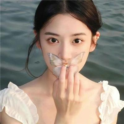 完美世界剧场版