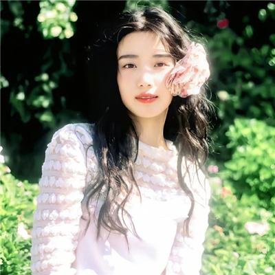 梅花档案
